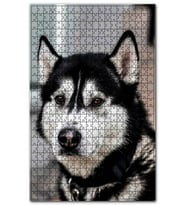 Cakapuzzle Siyah Beyaz Husky Köpeği Puzzle Yapboz MDF (Ahşap) (1000 Parça)