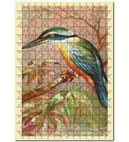 Cakapuzzle Kutsal Yalıçapkını Kuş Görseli Puzzle Yapboz MDF (Ahşap) (1000 Parça)