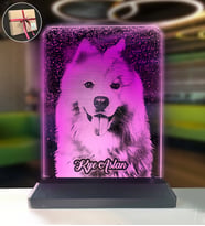 Köpeklere Özel Kişisel Resimli Dikey Dikdörtgen 3d Led Gece Lambası (4203)