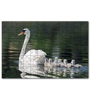 Cakapuzzle Gölde Yüzen Beyaz Kuğu Arkasında Yavruları Puzzle Yapboz MDF (Ahşap) (1000 Parça)