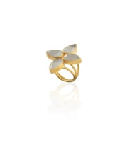 Kadir Jewellery 22 Ayar Altın Kaplama Zirkon Taşlı Kadın Otantik Yüzük (Gri)