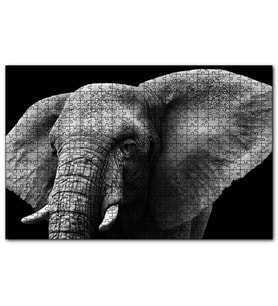 Cakapuzzle Yakın Plan Fil Siyah Beyaz  Puzzle Yapboz MDF (Ahşap) (1000 Parça)