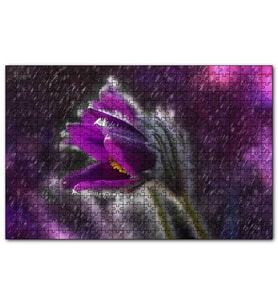 Cakapuzzle Mor Papatya Yağmur Damlaları ve Güneş Işığı  Puzzle Yapboz MDF (Ahşap) (255 Parça)