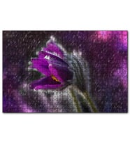 Cakapuzzle Mor Papatya Yağmur Damlaları ve Güneş Işığı  Puzzle Yapboz MDF (Ahşap) (255 Parça)