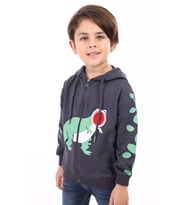 Toontoy Erkek Çocuk Baskılı Hırka (Füme)