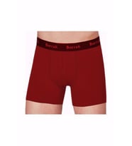 Berrak 4476 Erkek Modal Likralı Boxer 2 Adet (Bordo)