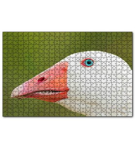 Cakapuzzle Mavi Gözlü Kaz Yakın Plan  Puzzle Yapboz MDF (Ahşap) (1000 Parça)