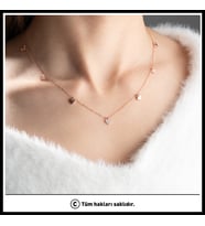 925 Ayar Gümüş Zirkon Taş Detaylı Kalp (Rose)