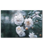 Cakapuzzle Dalda Beyaz Çiçekler Flu Arkaplan Puzzle Yapboz MDF (Ahşap) (1000 Parça)