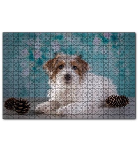 Cakapuzzle Beyaz Kahverengi Tüylü Terrier  Puzzle Yapboz MDF (Ahşap) (500 Parça)