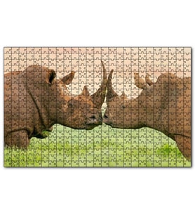 Cakapuzzle Yeşil Çayırdaki Erkek ve Dişi Gergedan Puzzle Yapboz MDF (Ahşap) (1000 Parça)