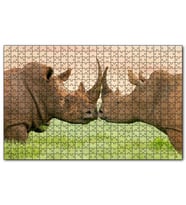 Cakapuzzle Yeşil Çayırdaki Erkek ve Dişi Gergedan Puzzle Yapboz MDF (Ahşap) (1000 Parça)