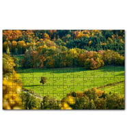 Cakapuzzle Ormanın Ortasındaki Yemyeşil Arazi  Ağaç Puzzle Yapboz MDF (Ahşap) (255 Parça)
