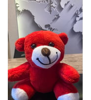 ÖZGÜNER RENKLİ  20CM AYICIK (Kırmızı)