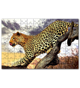 Cakapuzzle Yaban Hayat Leopar Hayvan Görseli Puzzle Yapboz MDF (Ahşap) (500 Parça)