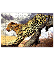 Cakapuzzle Yaban Hayat Leopar Hayvan Görseli Puzzle Yapboz MDF (Ahşap) (500 Parça)