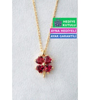 Jewelmim Kırmızı Taşlı Dört 4 Yapraklı Yonca Gümüş Kolye Sarı Altın Kaplama 925 Ayar Kadın Gümüş Yonca Kolye (Sarı)