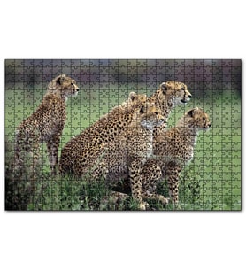 Cakapuzzle Yavrularına Eğitim Veren Anne Çita Puzzle Yapboz MDF (Ahşap) (500 Parça)