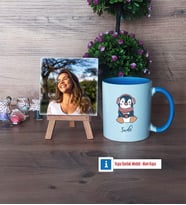 Tatlı Penguen Fotoğraflı Dekoratif Taş, Kupa Bardak Beyaz Hediye (Model 4)