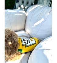 Salya Store Mustard Yazlık Köpek Atlet Kedi,köpek Kıyafeti Küçük Irklar Kk-112 (Sarı)