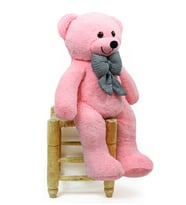 Pandamkee 80 Cm Sevgiliye Özel Hediyelik Ayı (Pembe)
