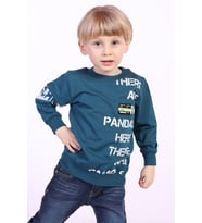 Toontoy Erkek Çocuk Ön Ve Kol Baskılı Sweatshirt (Petrol)