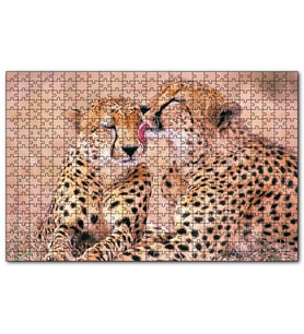 Cakapuzzle Çita Ailesi Temizleniyor  Puzzle Yapboz MDF (Ahşap) (500 Parça)