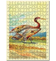 Cakapuzzle Sun Bittern Kuş Görseli Puzzle Yapboz MDF (Ahşap) (255 Parça)