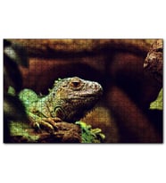 Cakapuzzle İguana Yakın Plan Flu Arkaplan  Puzzle Yapboz MDF (Ahşap) (1000 Parça)