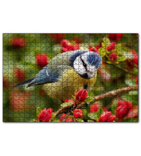 Cakapuzzle Kırmızı Çiçekli Ağaçta Mavi Sarı Kuş  Puzzle Yapboz MDF (Ahşap) (1000 Parça)