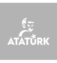 Atatürk Türk Bayrağı Sticker siyah 20x12 CM (Beyaz)