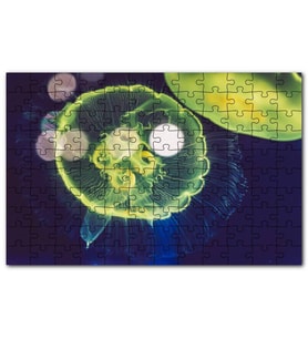 Cakapuzzle Muhteşem Güzellikte Mavi Yeşil Denizanası Puzzle Yapboz MDF (Ahşap) (1000 Parça)