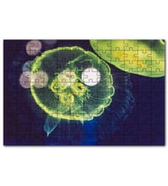Cakapuzzle Muhteşem Güzellikte Mavi Yeşil Denizanası Puzzle Yapboz MDF (Ahşap) (1000 Parça)