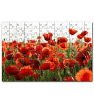 Cakapuzzle Çayırda Kırmızı Gelincikler Puzzle Yapboz MDF (Ahşap) (500 Parça)