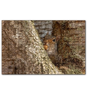 Cakapuzzle Ağacın Dalları Arasındaki Sincap  Puzzle Yapboz MDF (Ahşap) (255 Parça)