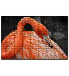 Cakapuzzle Turuncu Flamingo  Puzzle Yapboz MDF (Ahşap) (500 Parça)