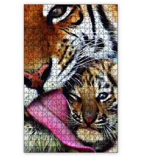 Cakapuzzle Laplan Ve Yavrusu Puzzle Yapboz MDF (Ahşap) (255 Parça)