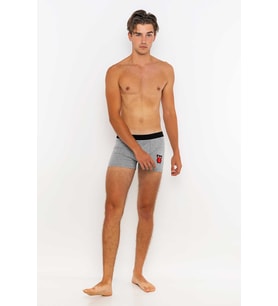 Redowl Baykuş Baskılı İndigo 2 li Boxer RWBS000 (Gri)