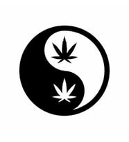 Ying Yang Araba Sticker siyah 15x15 CM (Siyah)
