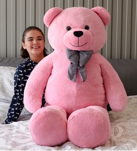 Pandamkee 170 Cm Sevgiliye Özel Hediyelik Ayı (Pembe)