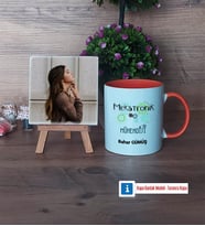 Mekatronik Mühendisi Fotoğraflı Dekoratif Taş, Kupa Bardak Beyaz Hediye (Model 13)