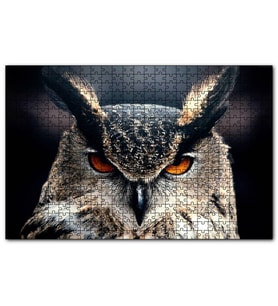 Cakapuzzle Kalın Kaşlı Baykuş Yakın Plan  Puzzle Yapboz MDF (Ahşap) (1000 Parça)