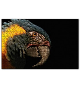 Cakapuzzle Sarı Siyah Papağan Siyah Arkaplan  Puzzle Yapboz MDF (Ahşap) (1000 Parça)