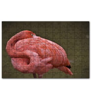 Cakapuzzle Kendine Sarınarak Dinlenen Flamingo Puzzle Yapboz MDF (Ahşap) (500 Parça)