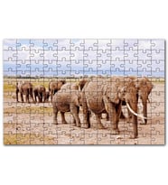 Cakapuzzle Afrika Savanada Filler Bir Arada Puzzle Yapboz MDF (Ahşap) (255 Parça)