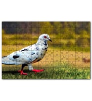 Cakapuzzle Kırmızı Ayaklı Damalı Beyaz Güvercin Puzzle Yapboz MDF (Ahşap) (1000 Parça)