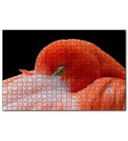 Cakapuzzle Amerikan Flamingosu Siyah Arkaplan  Puzzle Yapboz MDF (Ahşap) (1000 Parça)