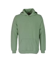 Erkek Kapüşonlu Basic Sweatshirt R2248 BGL-ST03192 (Açık Yeşil)
