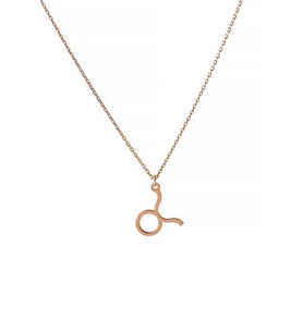 Boğa Burcu Gümüş Unisex Hediyelik Kolye (Rose)