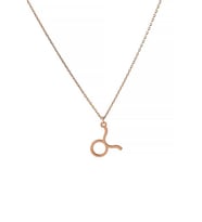Boğa Burcu Gümüş Unisex Hediyelik Kolye (Rose)